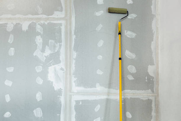 Best Water-Damaged Drywall Repair  in Mascot, TN